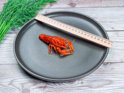 Раки варёные №1